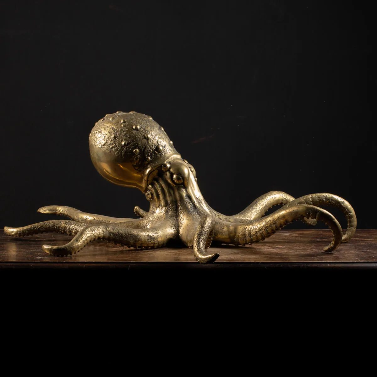 Scultura Bronzo Polpo