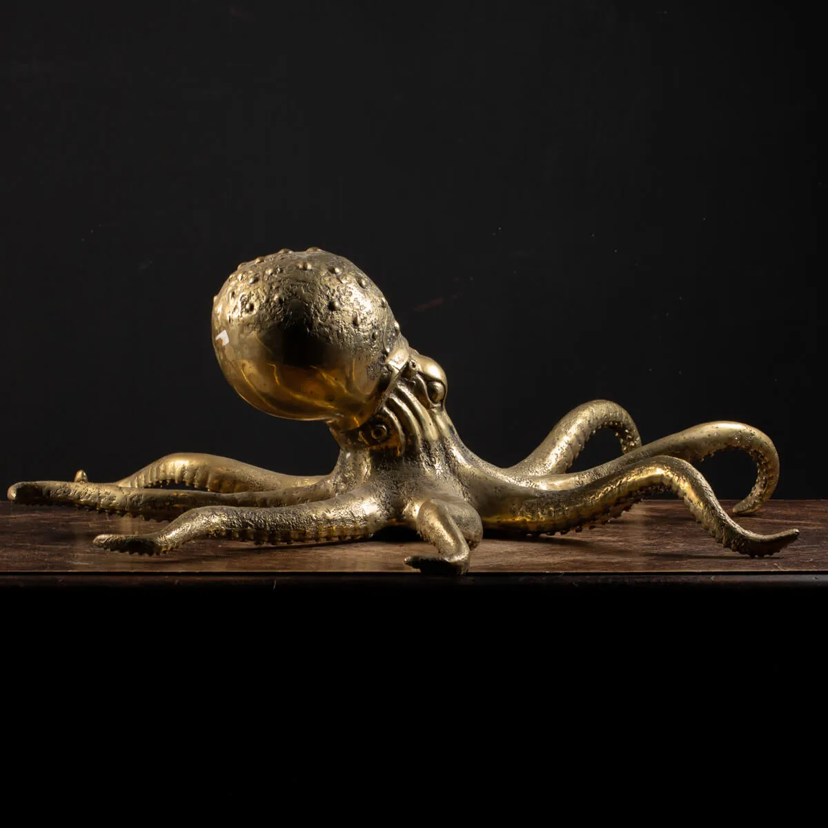 Scultura Bronzo Polpo