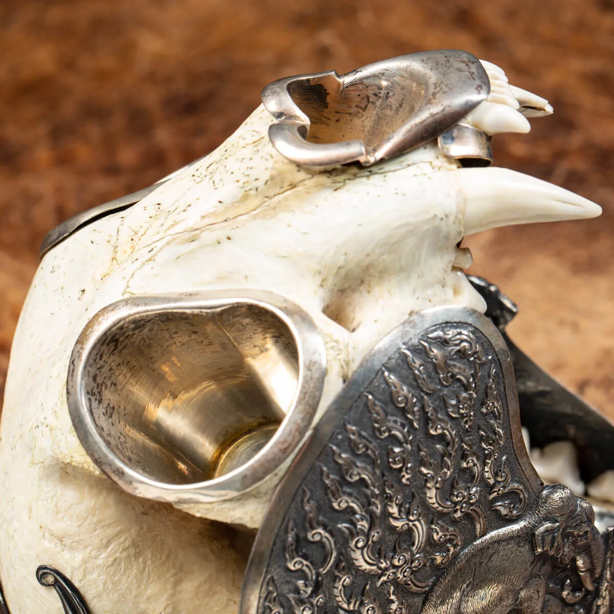 Teschio di Puma con montatura d'argento - Compendio per fumatori