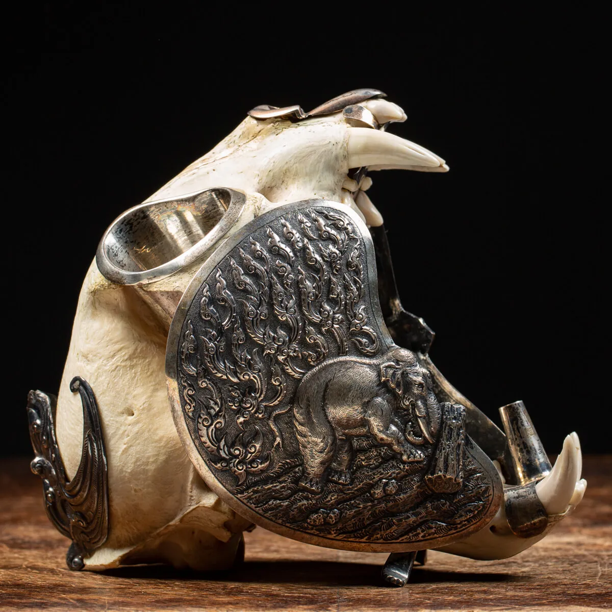 Teschio di Puma con montatura d'argento - Compendio per fumatori