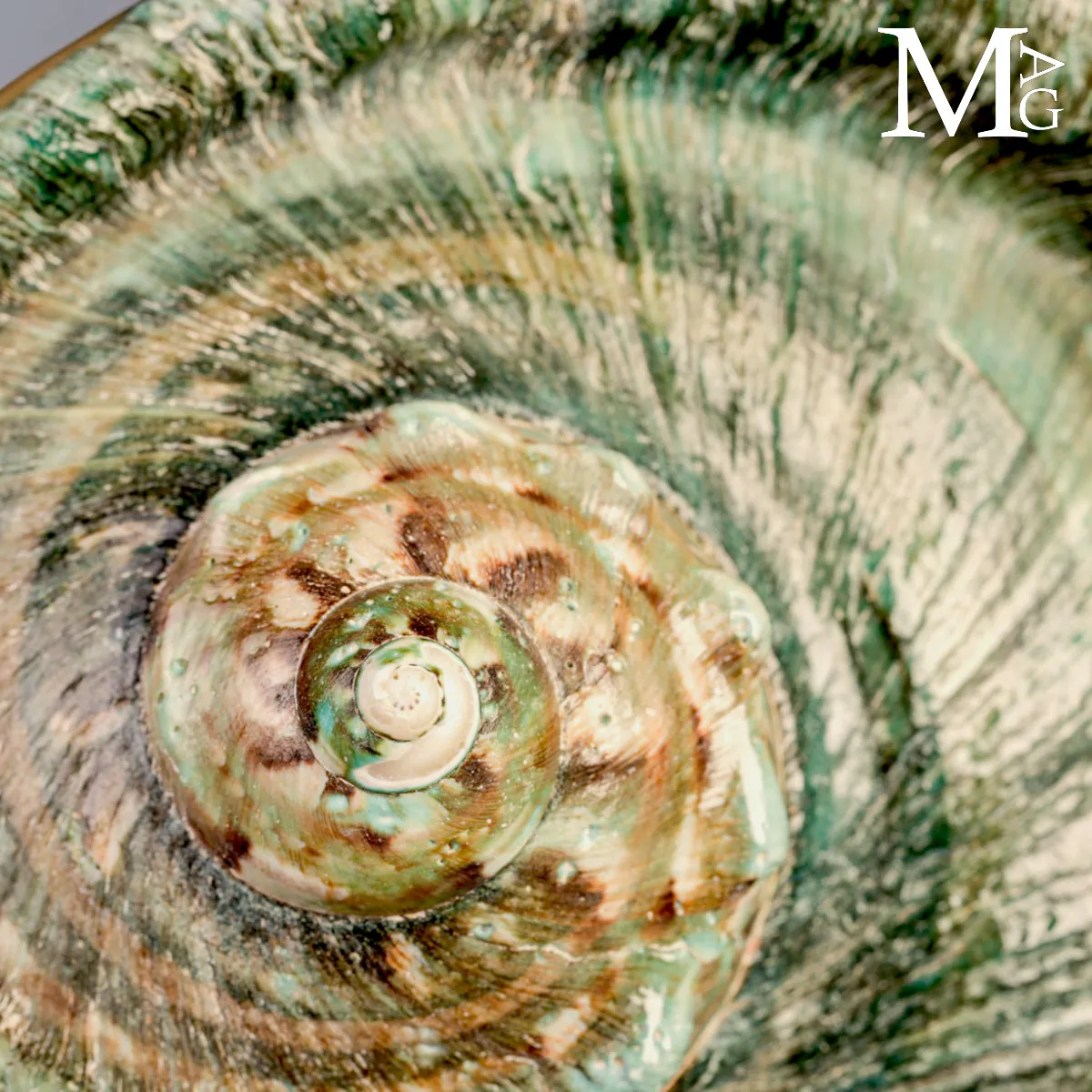 Large Turbo marmoratus Shell with Natural Green Surface and Mother-of-Pearl