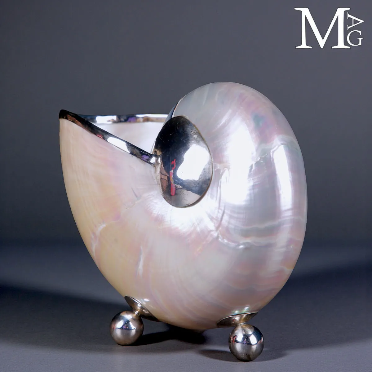 Nautilus in Madreperla - Finiture in Argento