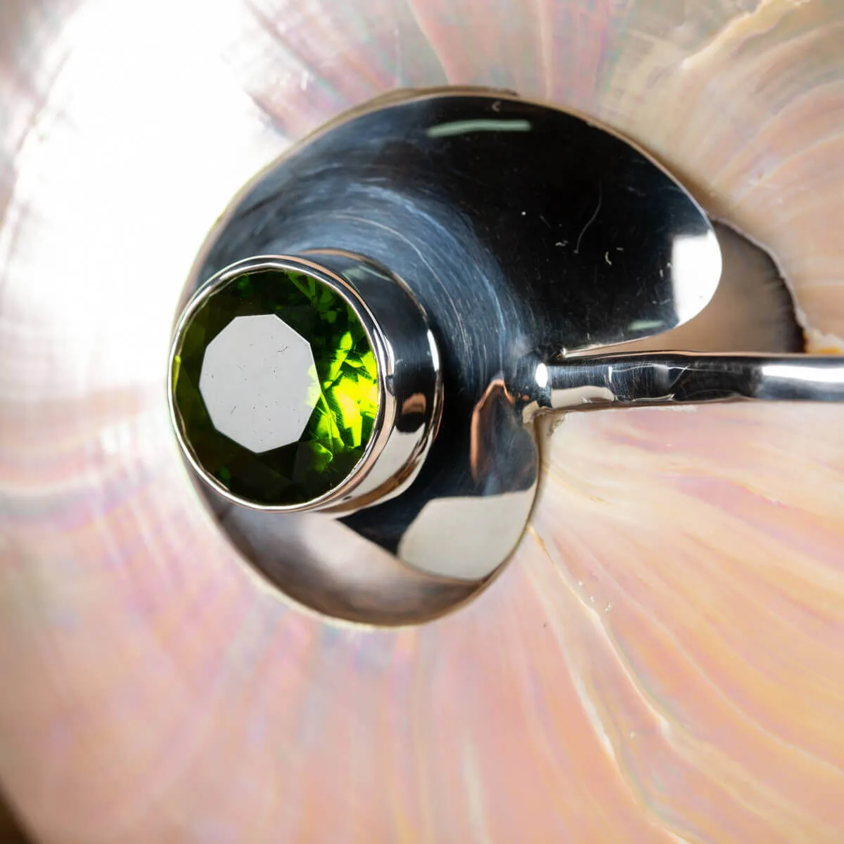 Nautilus in Madreperla con lavorazione in argento e gemme verdi
