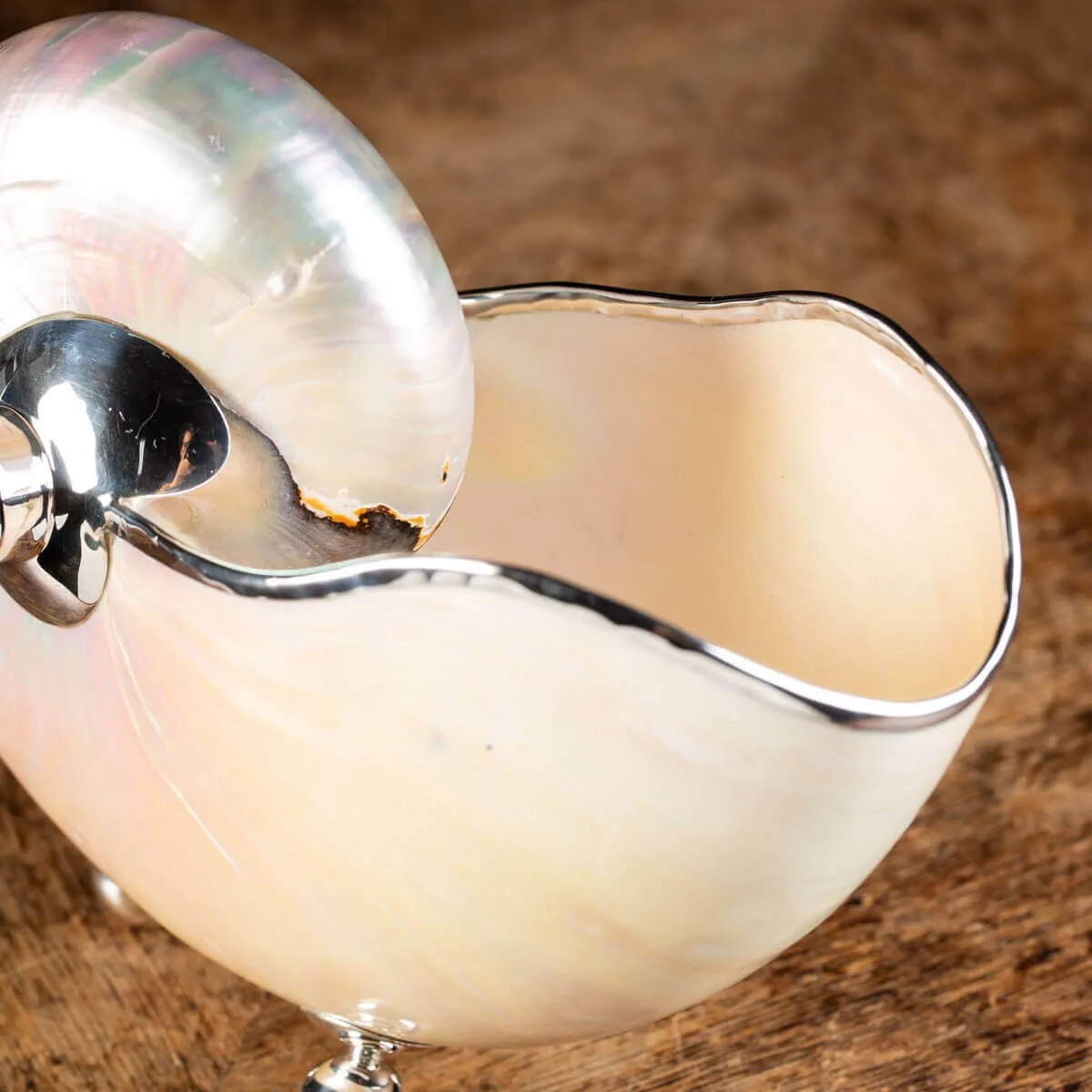Nautilus in Madreperla con lavorazione in argento e gemme verdi