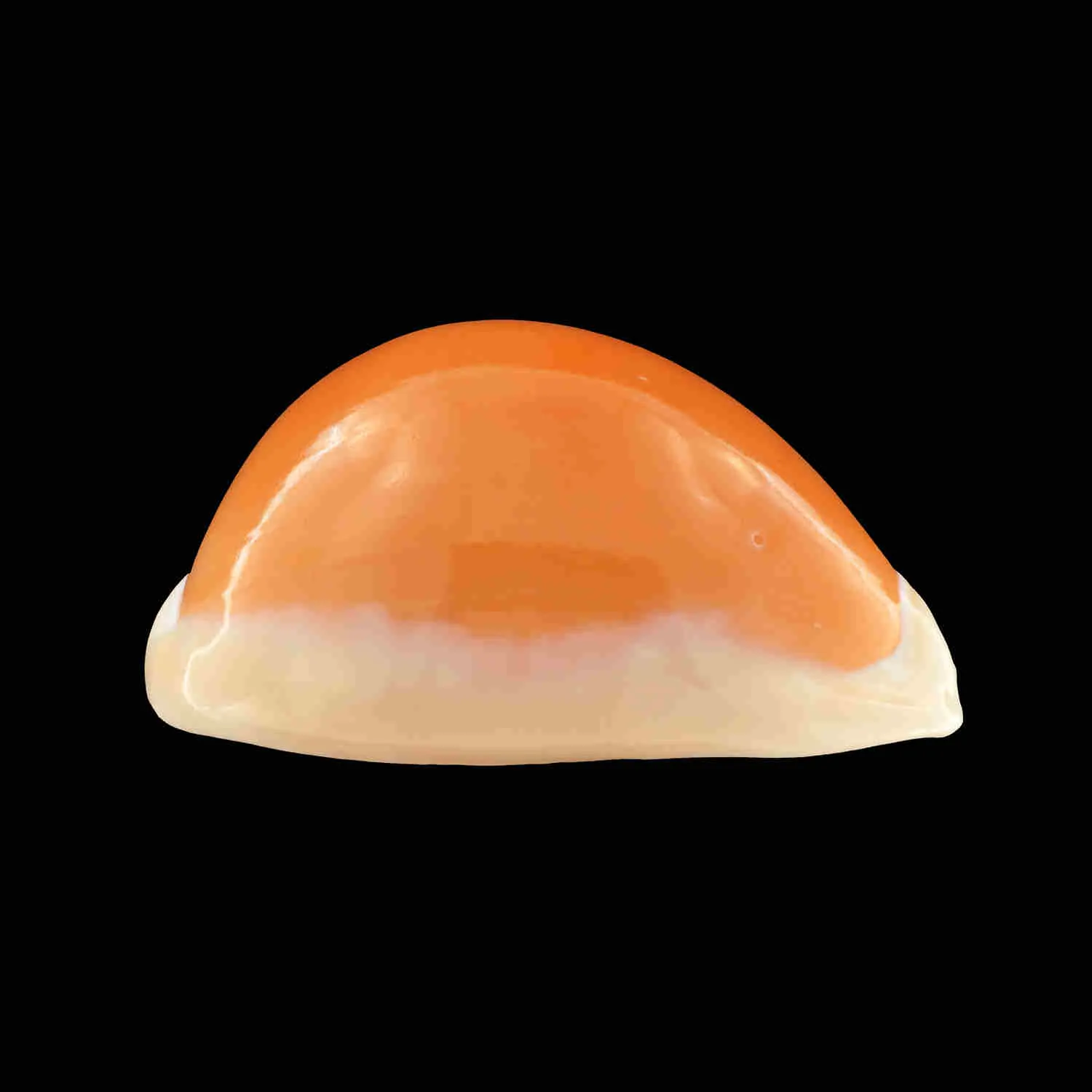 Cypraea Aurantium