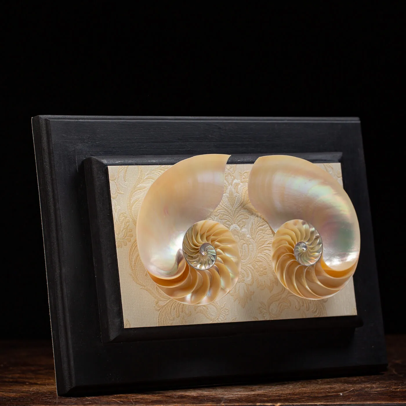 Nautilus in Madreperla su Cornice
