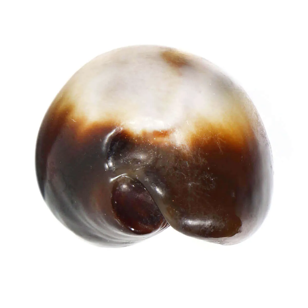  Erronea Onyx