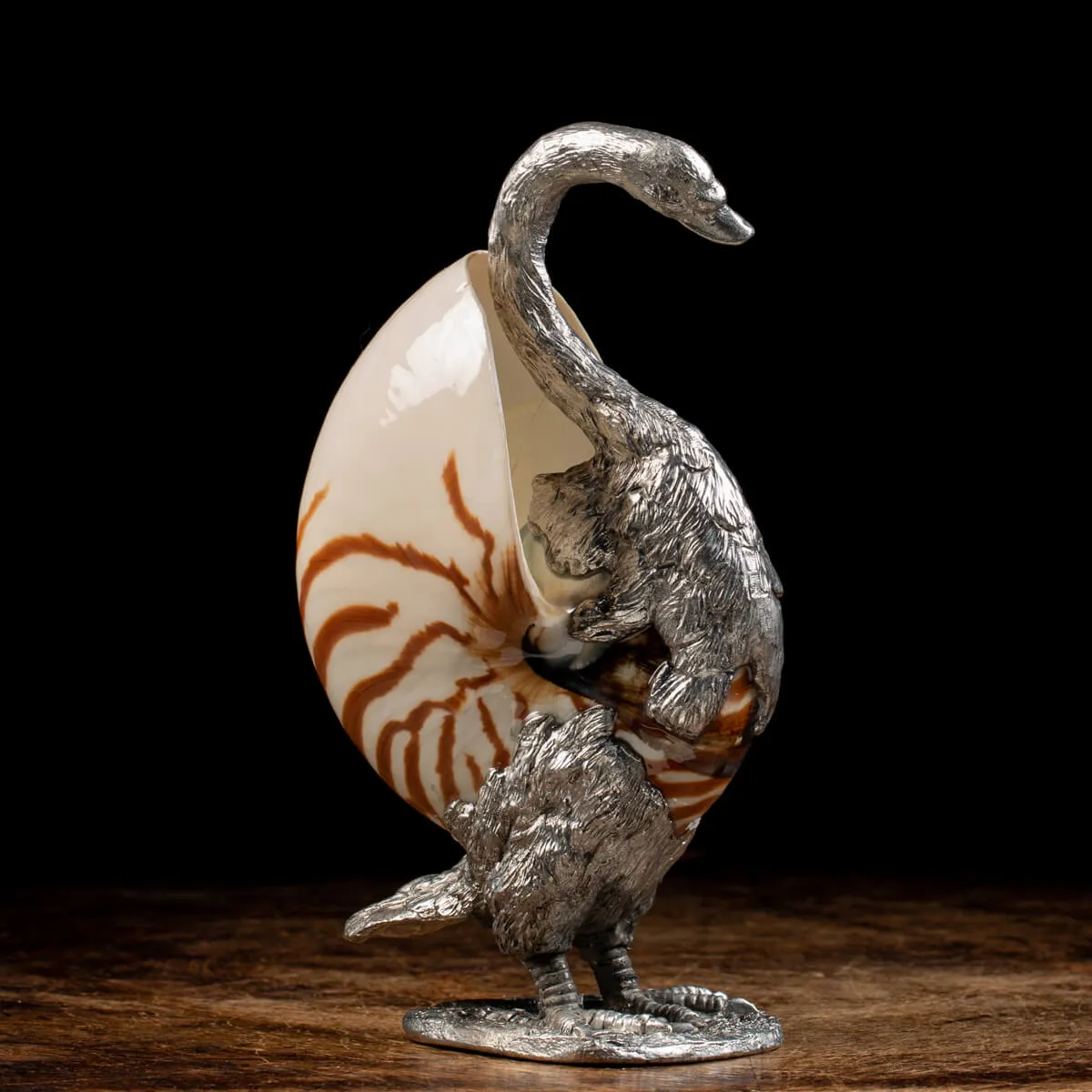 Scultura Cigno su Nautilus Pompilius