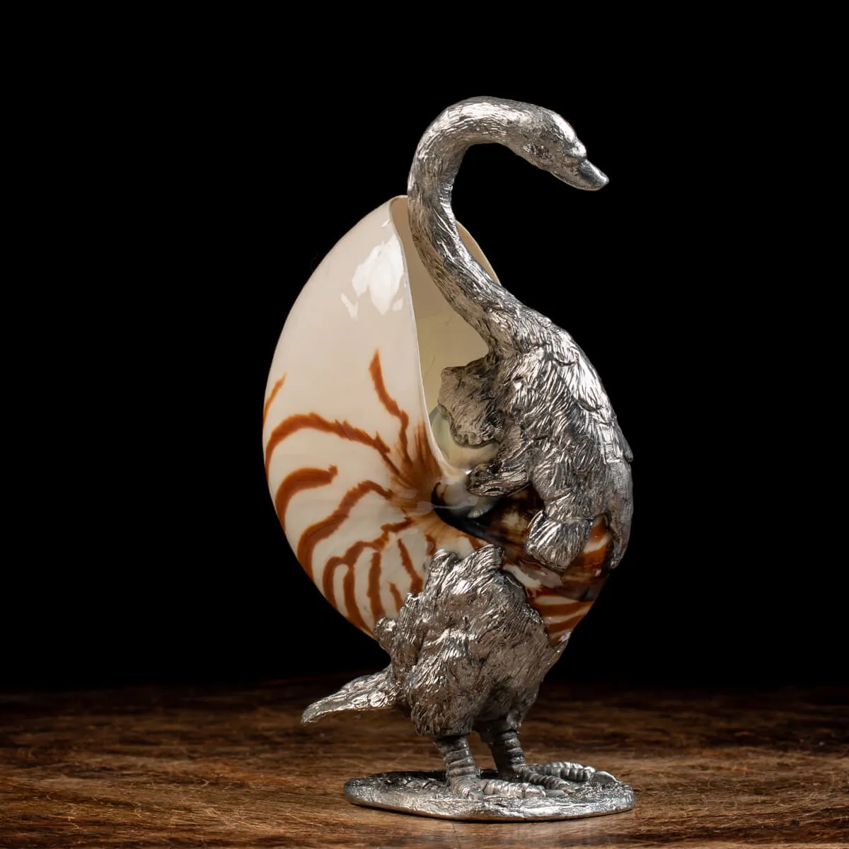 Scultura Cigno su Nautilus Pompilius