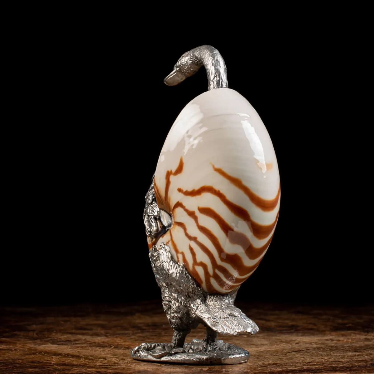 Scultura Cigno su Nautilus Pompilius