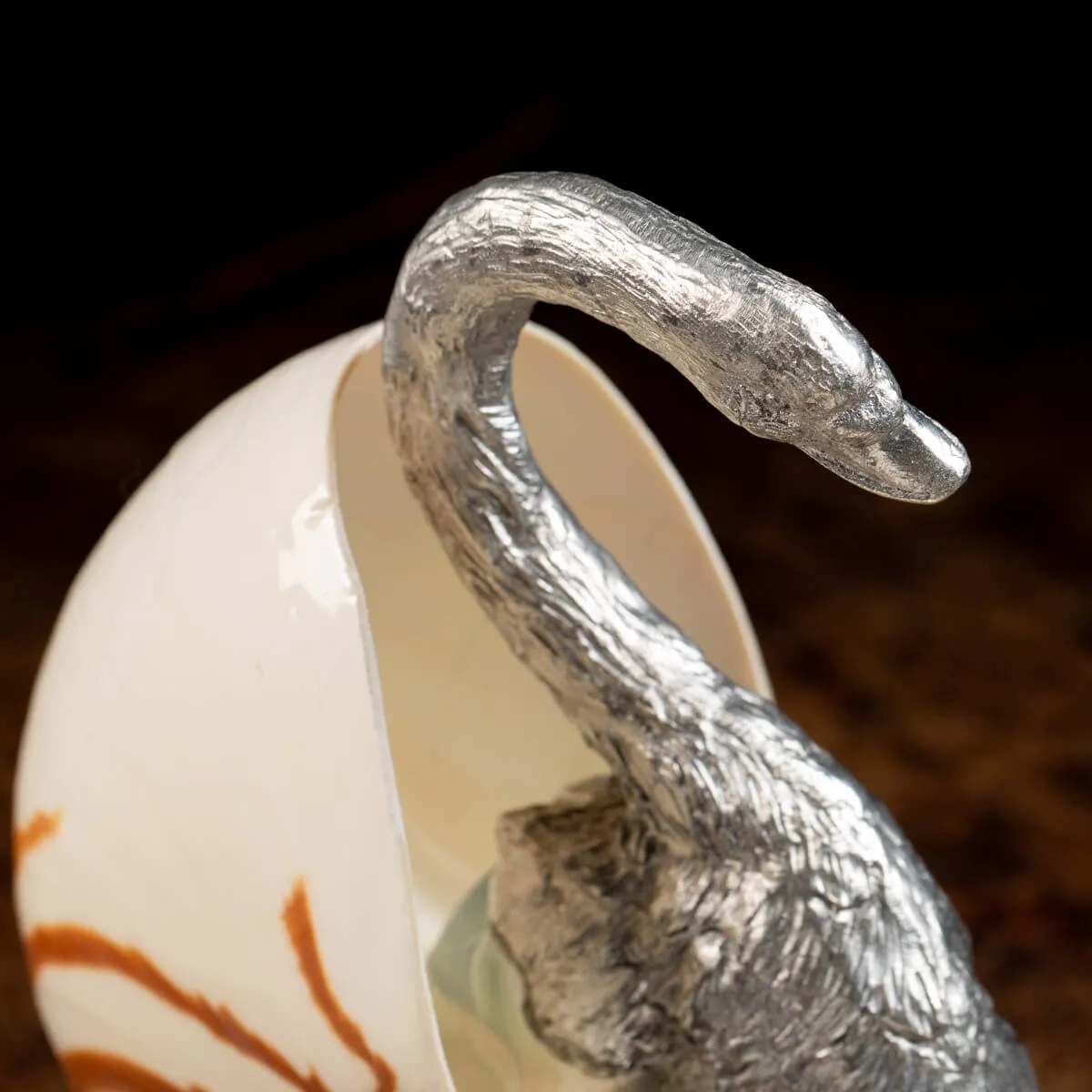 Scultura Cigno su Nautilus Pompilius