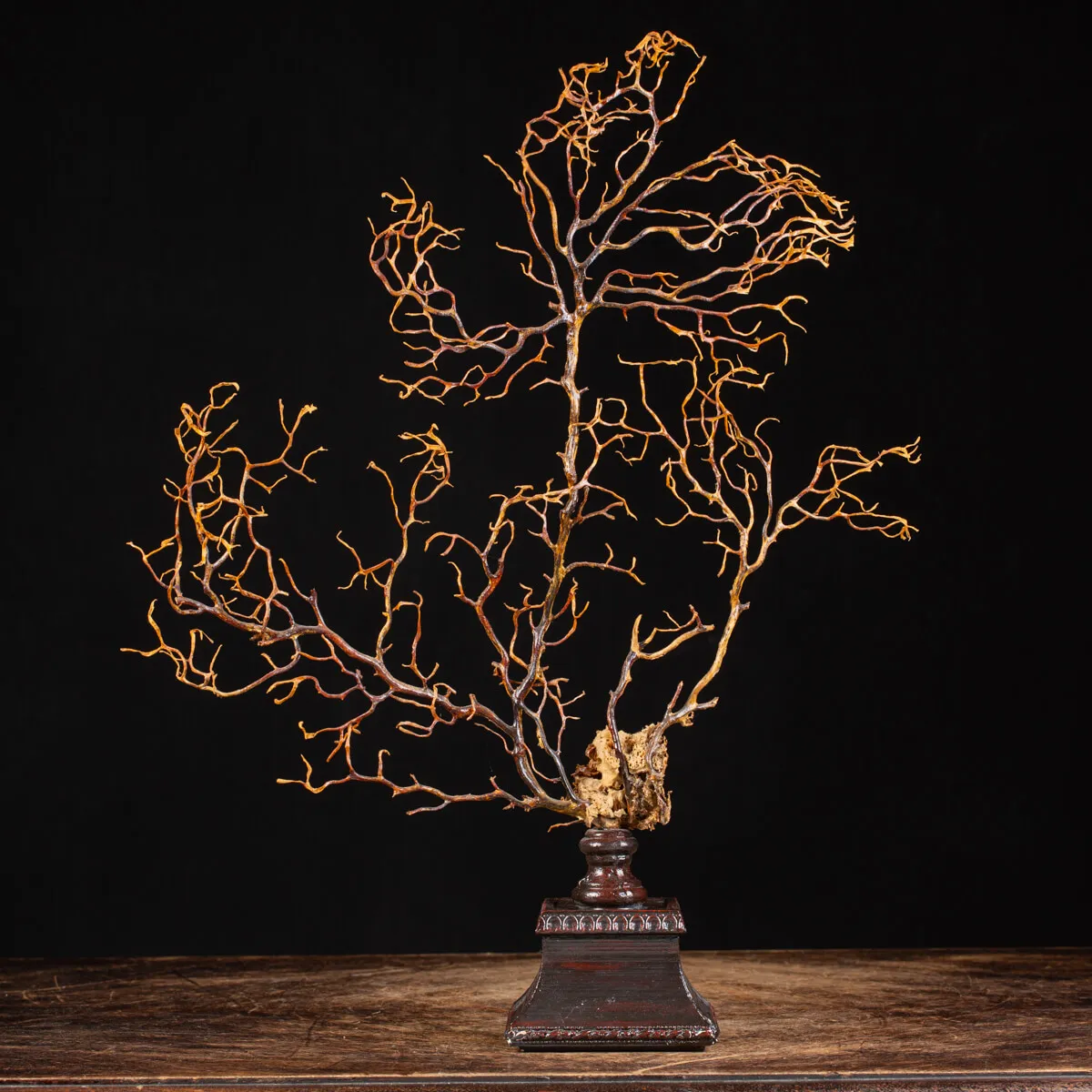 Gorgonia su Piedistallo