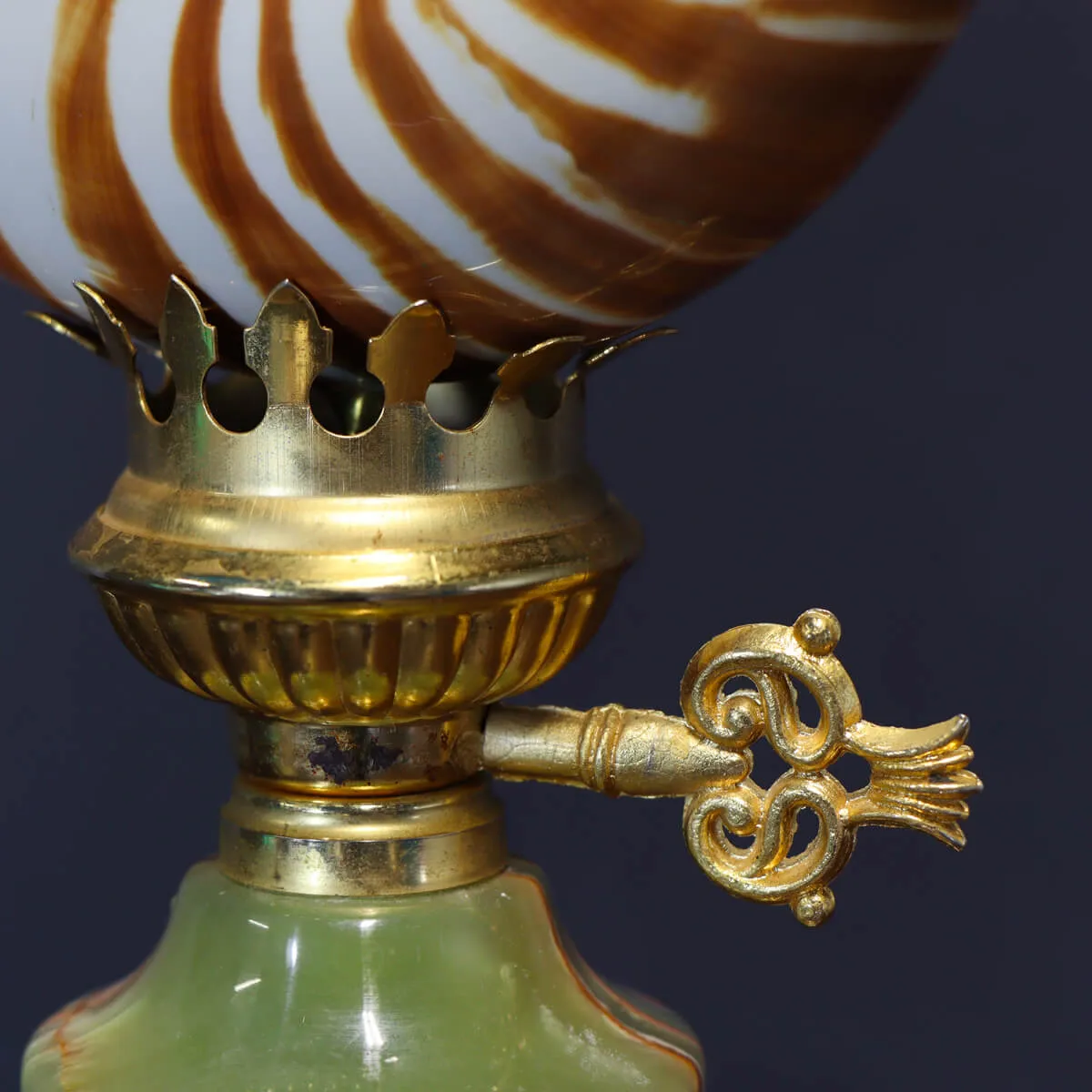 Nautilus Pompilius su Piedistallo