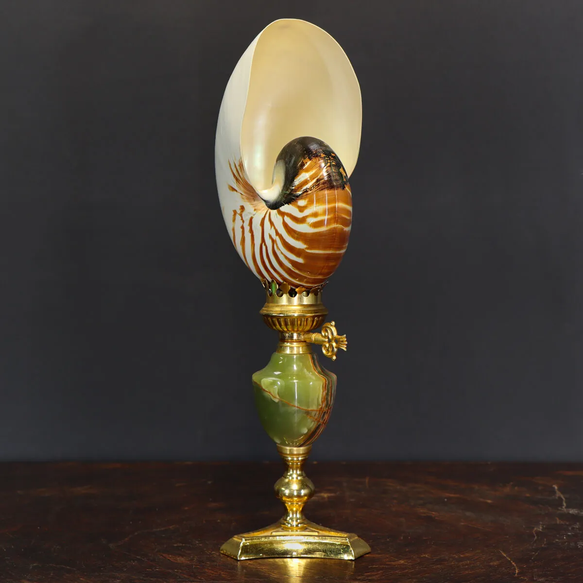 Nautilus Pompilius su Piedistallo