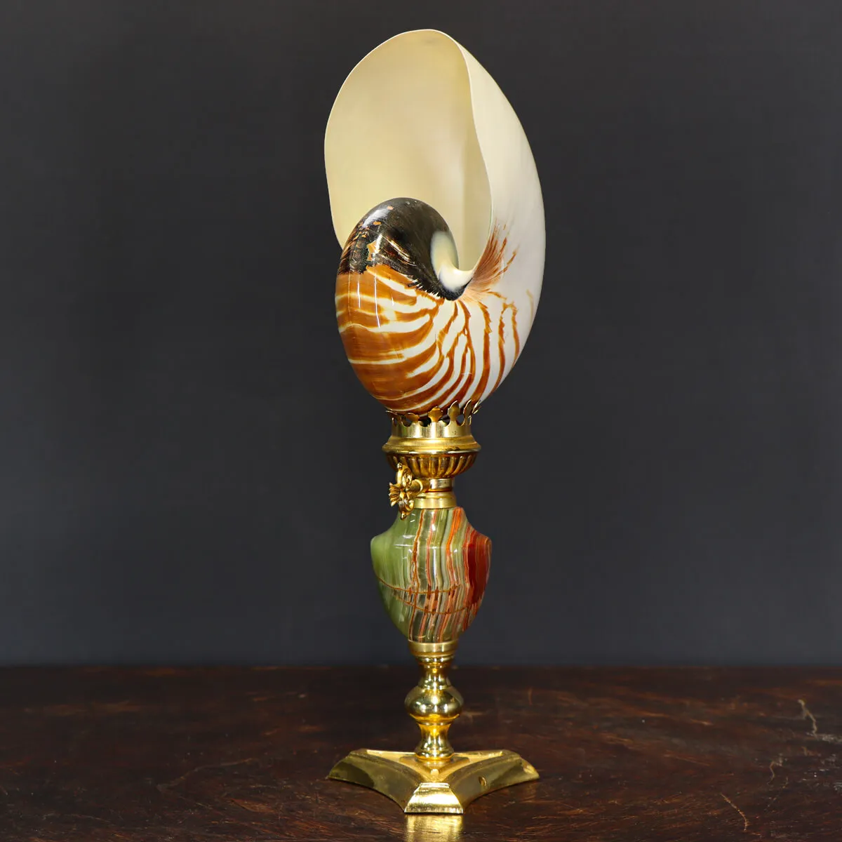 Nautilus Pompilius su Piedistallo