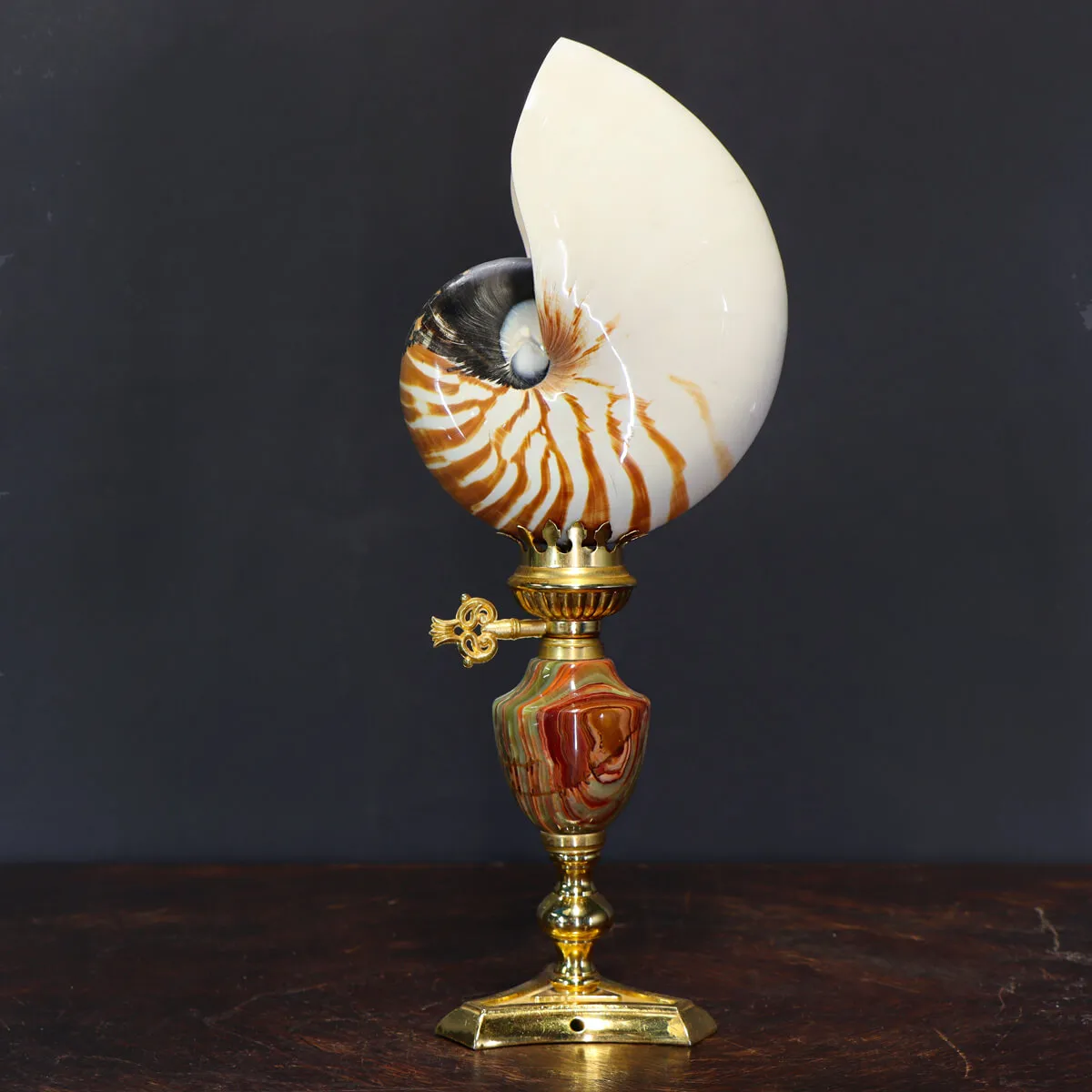 Nautilus Pompilius su Piedistallo