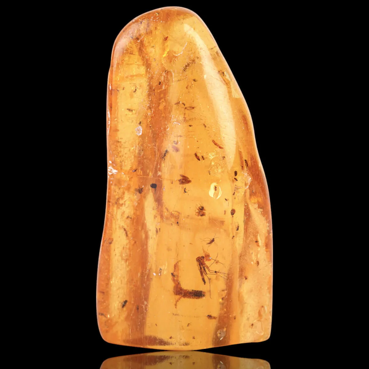 Copale con Insetti Fossilizzati – Resina Naturale.