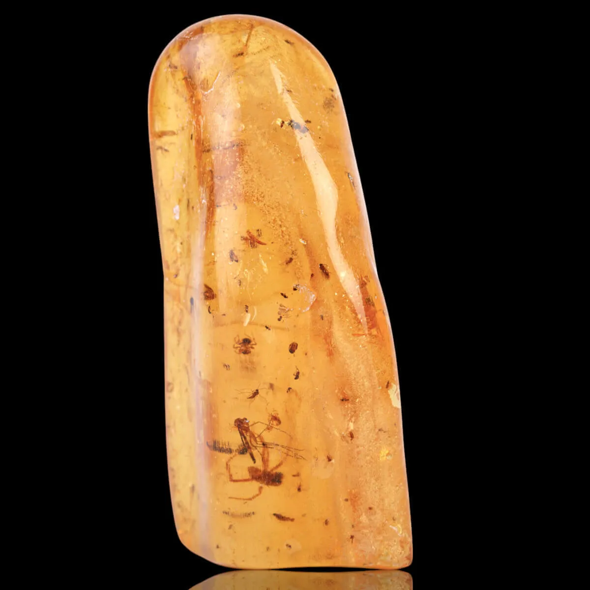 Copale con Insetti Fossilizzati – Resina Naturale.