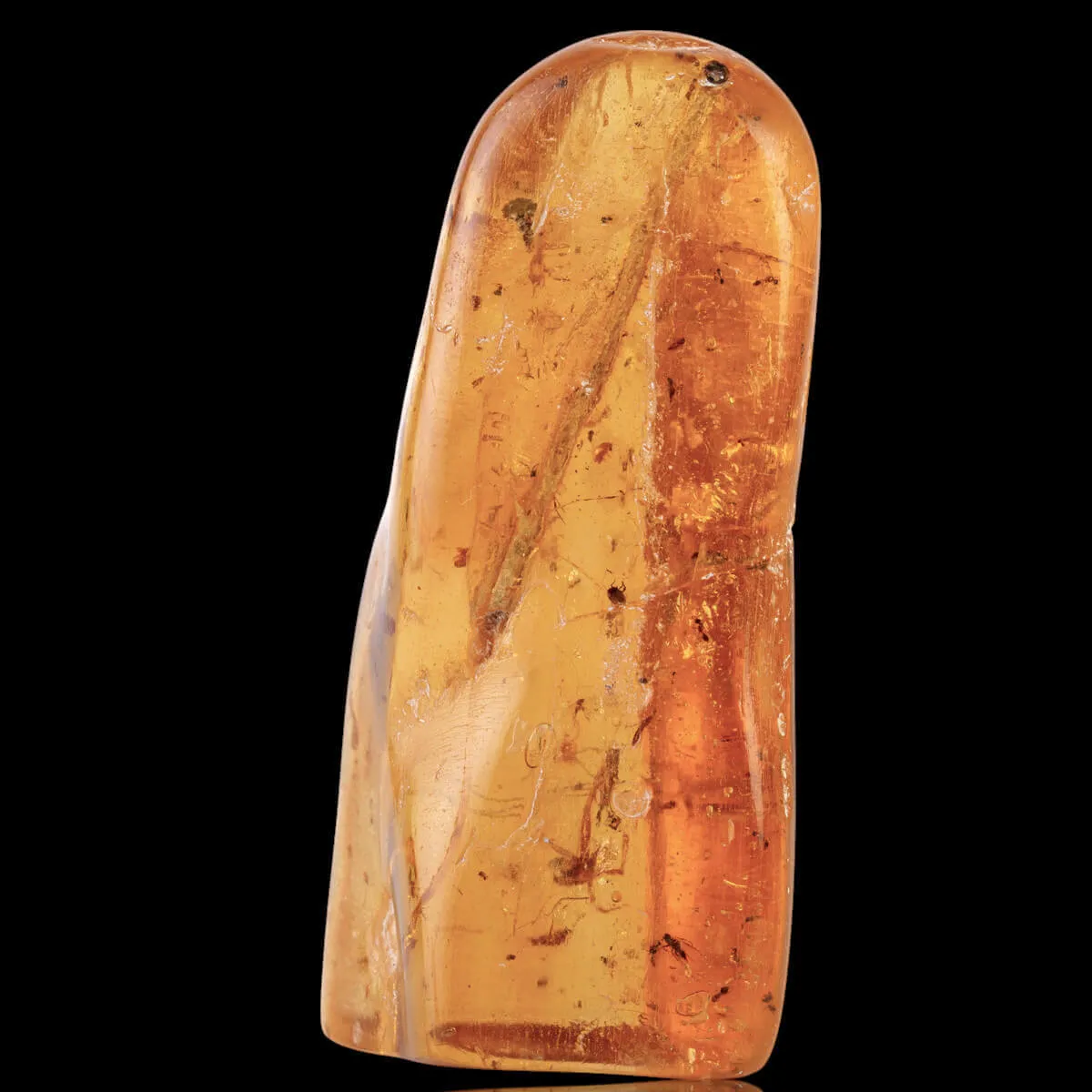 Copale con Insetti Fossilizzati – Resina Naturale.