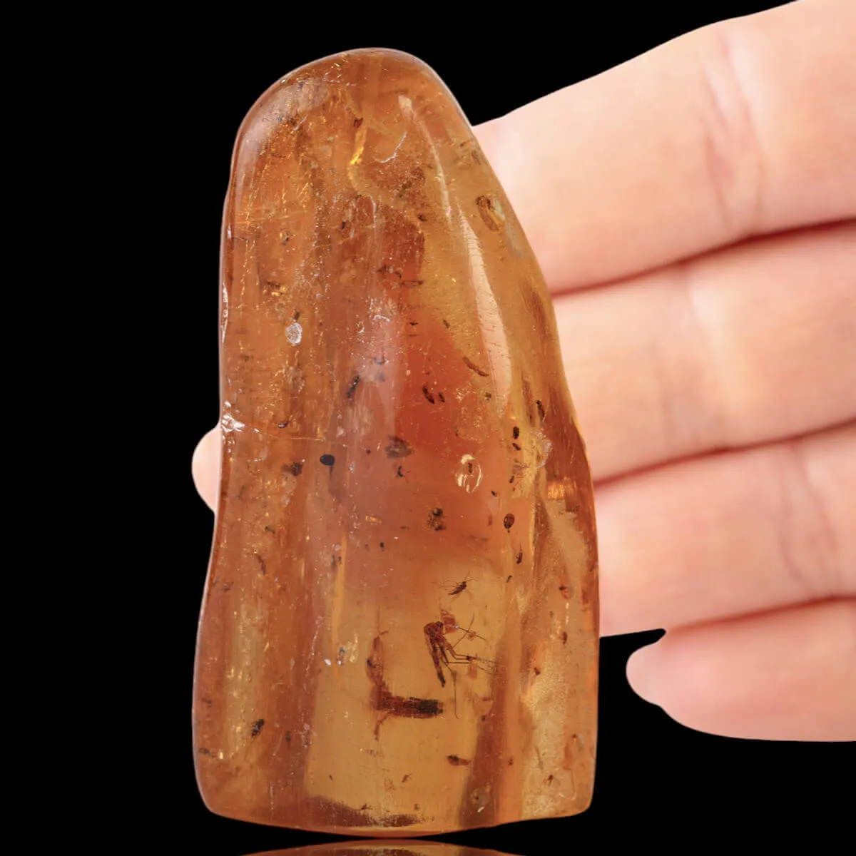 Copale con Insetti Fossilizzati – Resina Naturale.
