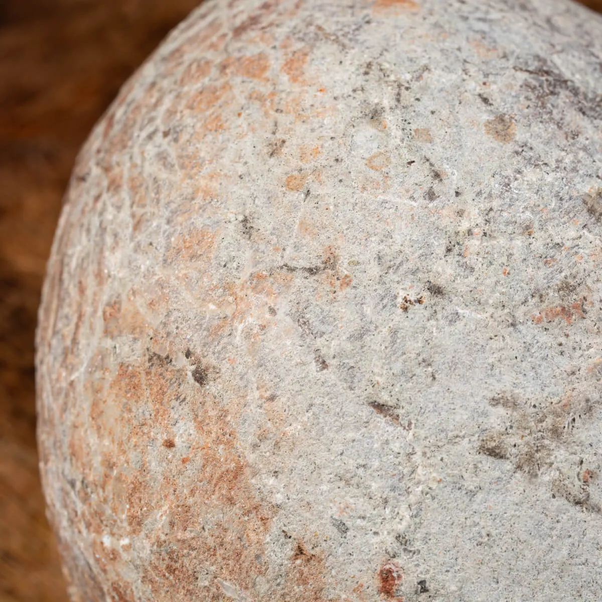 Uovo Fossile Saurolophus