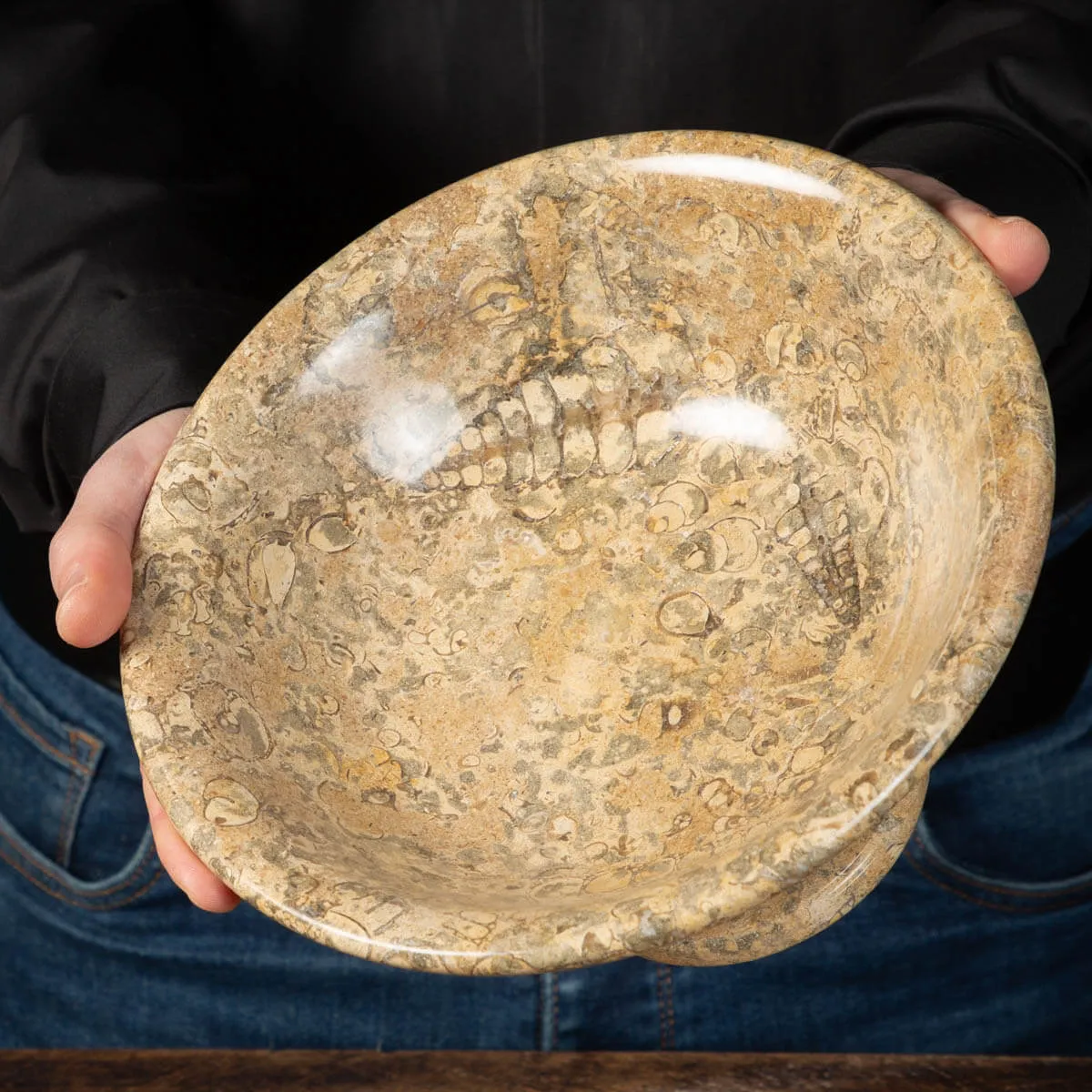Portafrutta  con Sedimenti Fossili