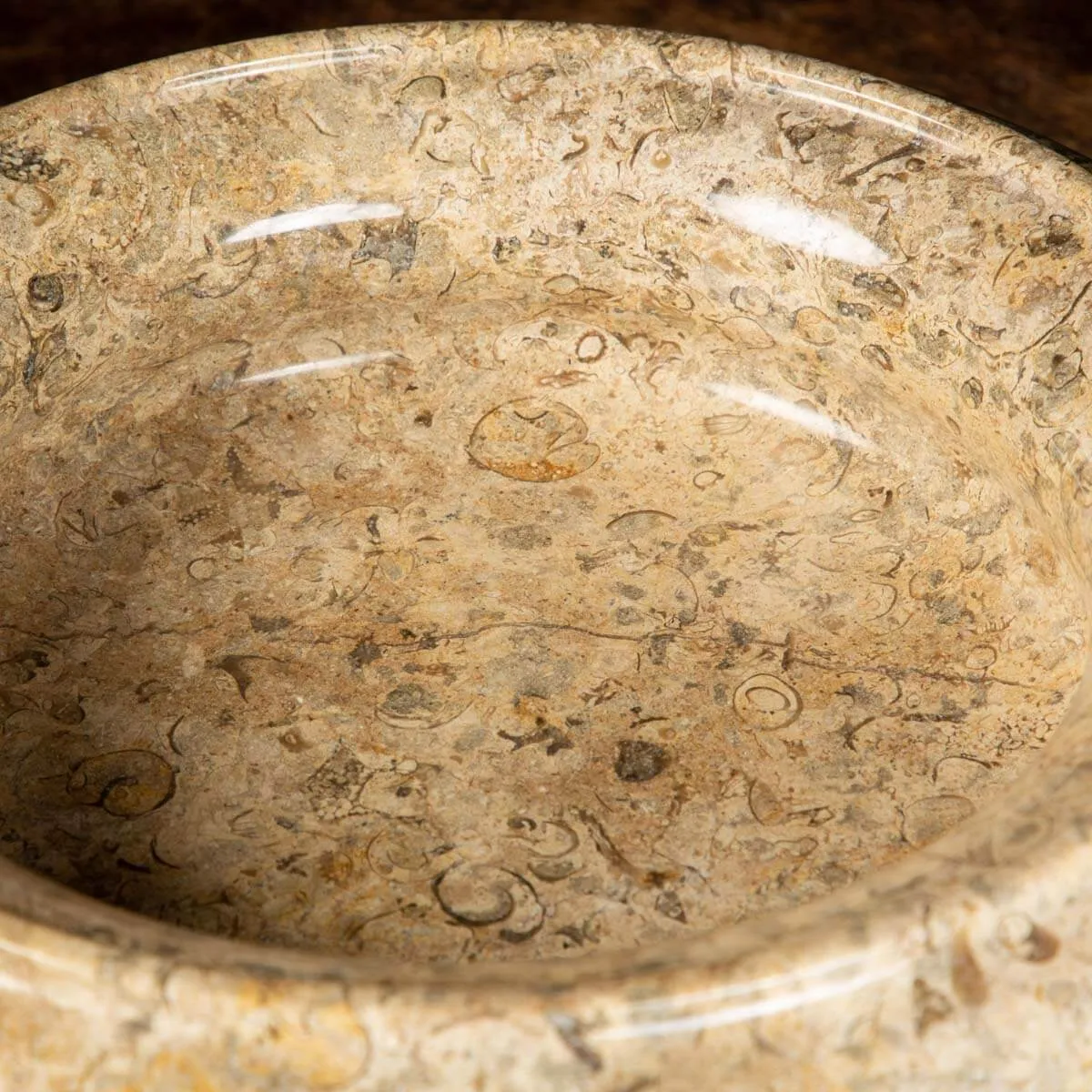 Portafrutta  con Sedimenti Fossili