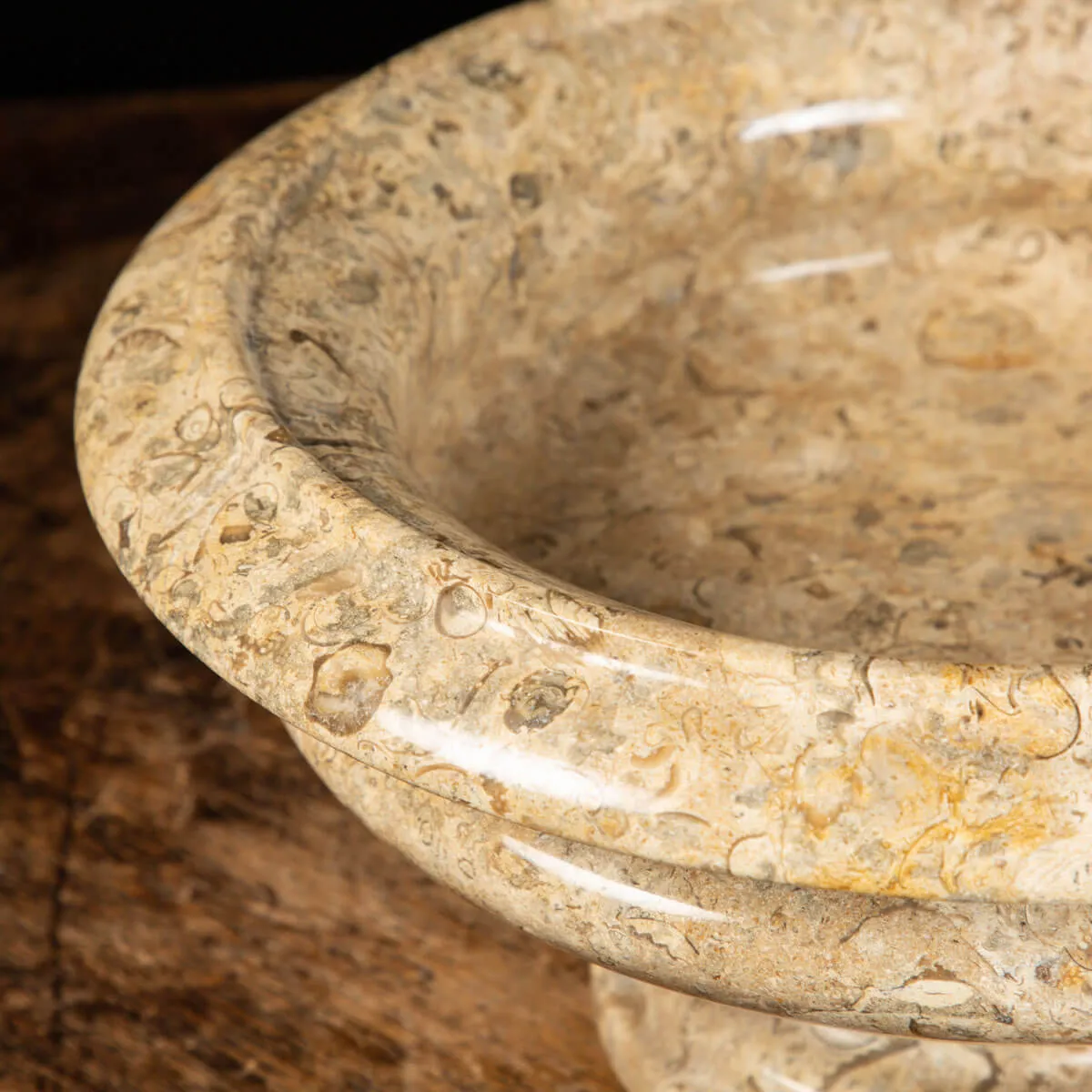 Portafrutta  con Sedimenti Fossili