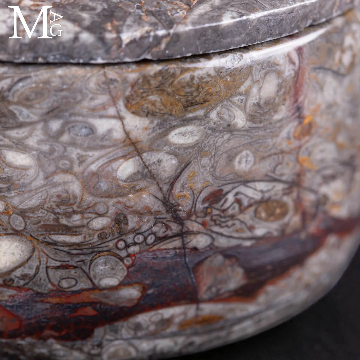 Contenitore  in roccia fossilifera – Ammonite