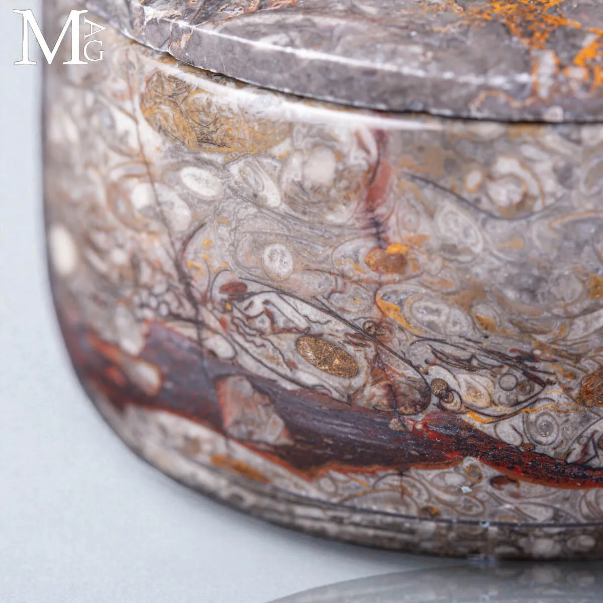 Contenitore  in roccia fossilifera – Ammonite