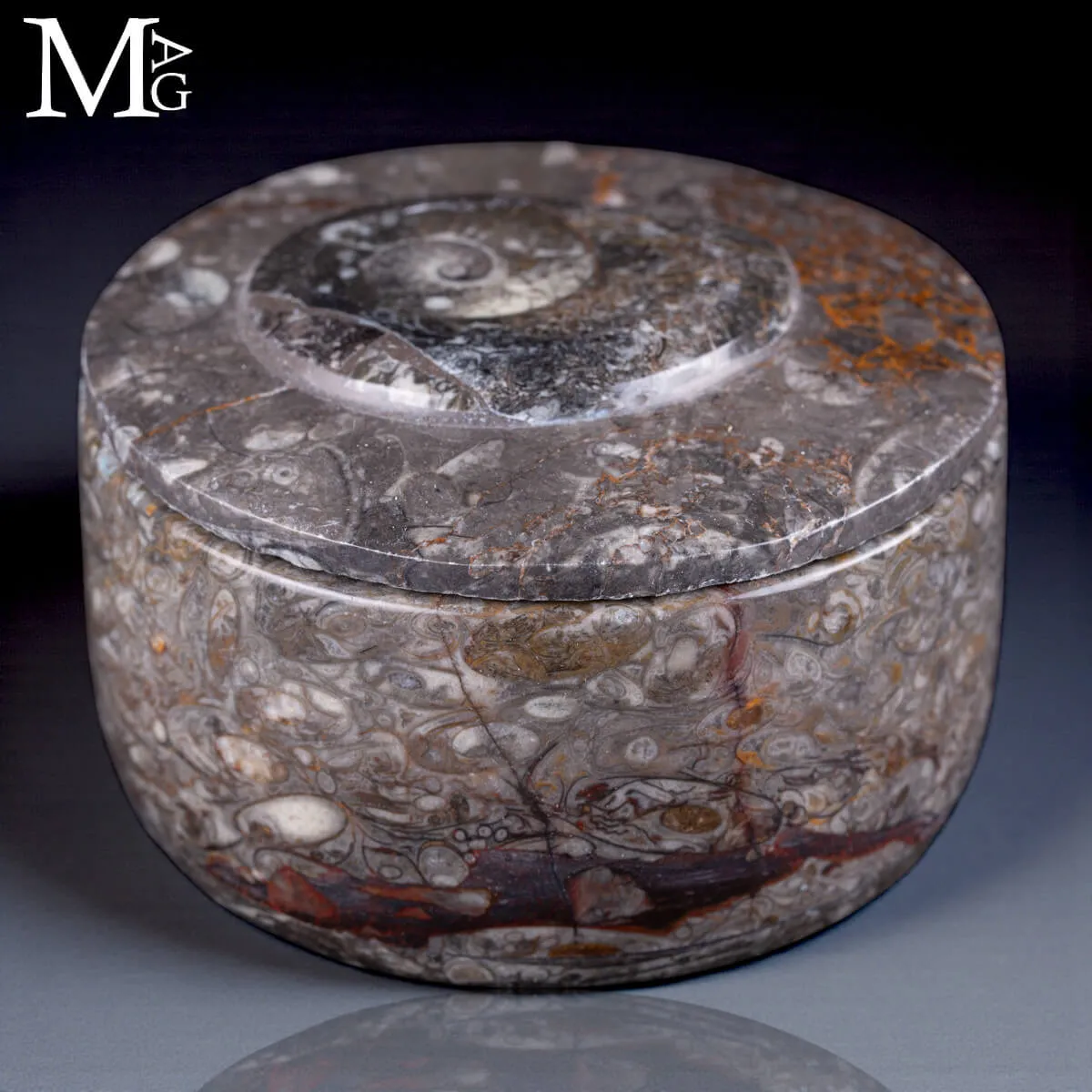 Contenitore  in roccia fossilifera – Ammonite