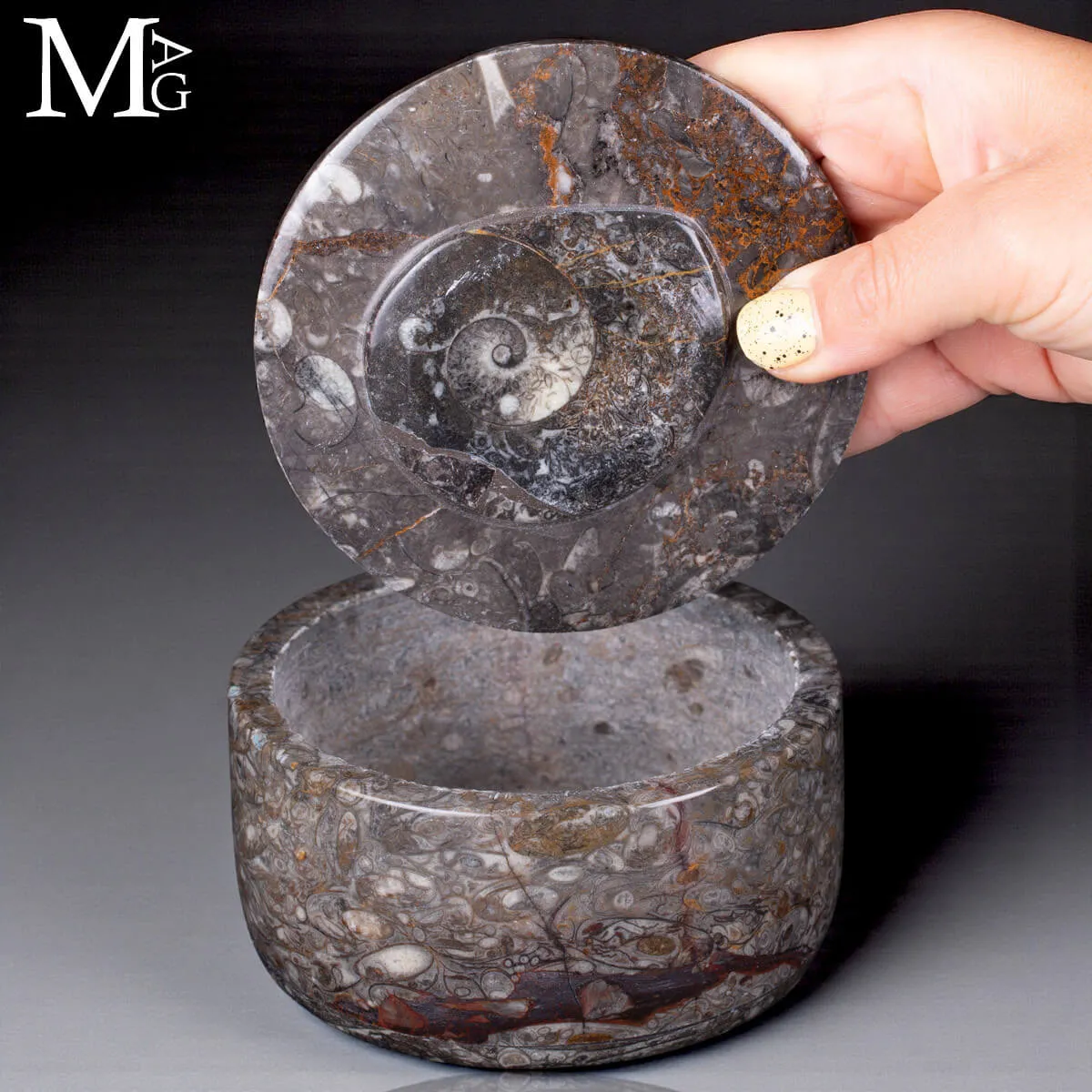 Contenitore  in roccia fossilifera – Ammonite
