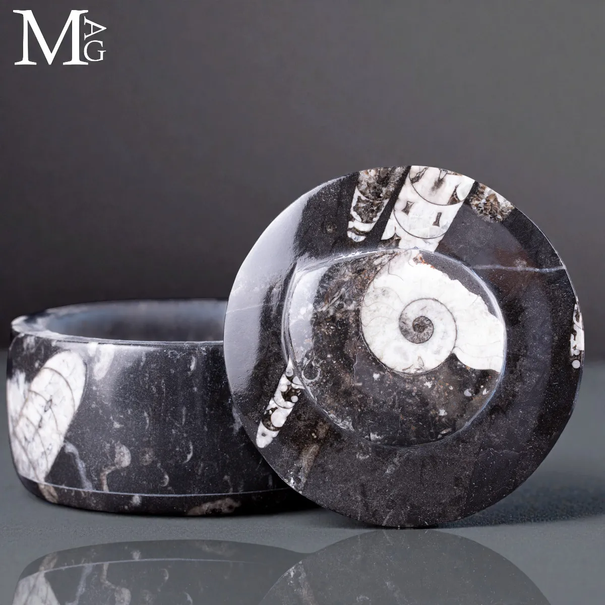 Contenitore in Roccia fossilifera - Ammonite e Orthoceras