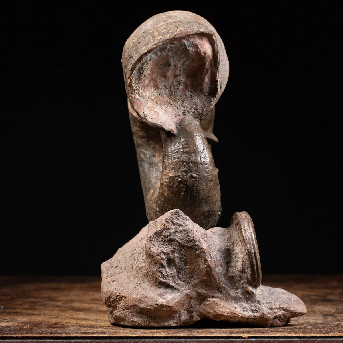 Ammonite Lytoceras Fimbriatum