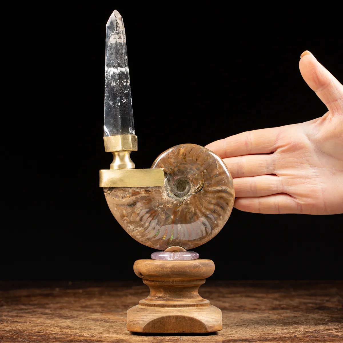 Ammonite Cleoniceras con punta di Quarzo