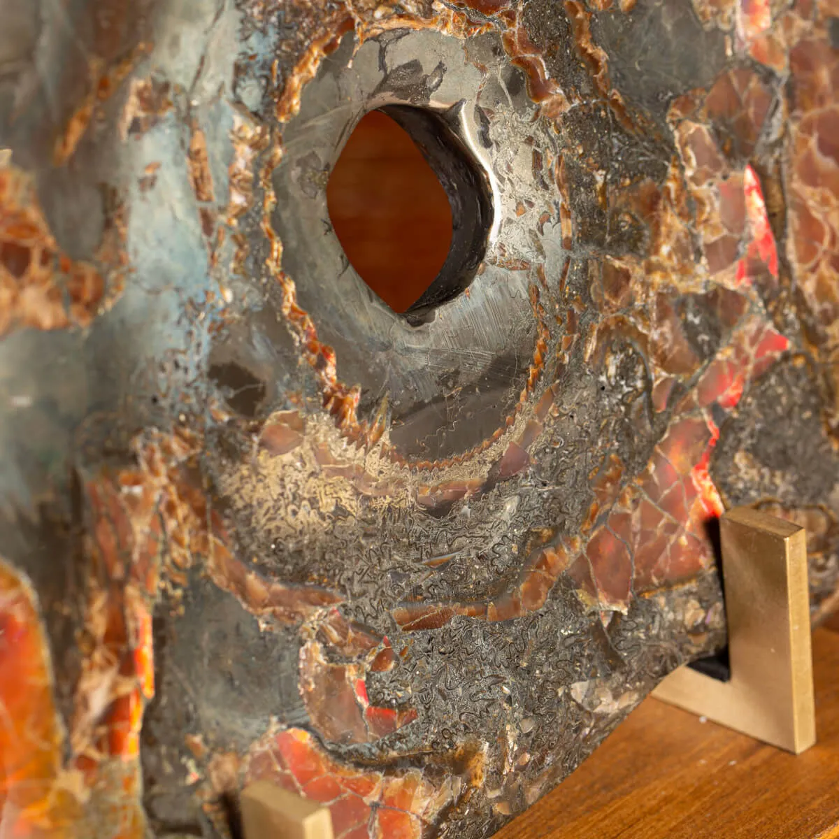 Ammonite Opalizzata con Pirite – Un Fossile di Squisita Bellezza.