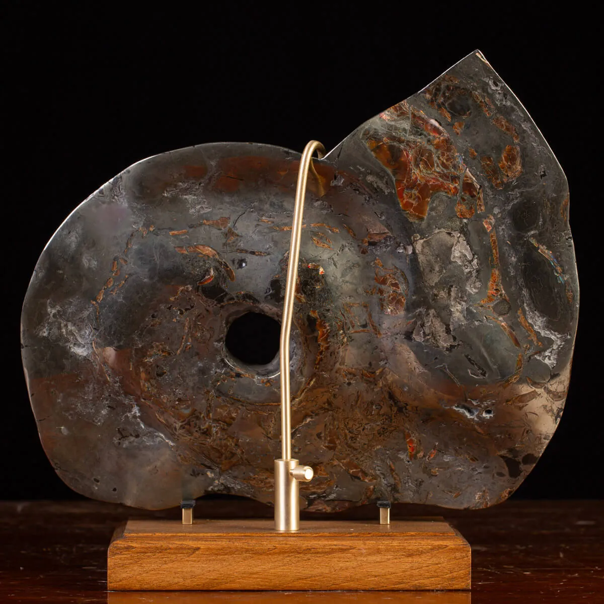 Ammonite Opalizzata con Pirite – Un Fossile di Squisita Bellezza.