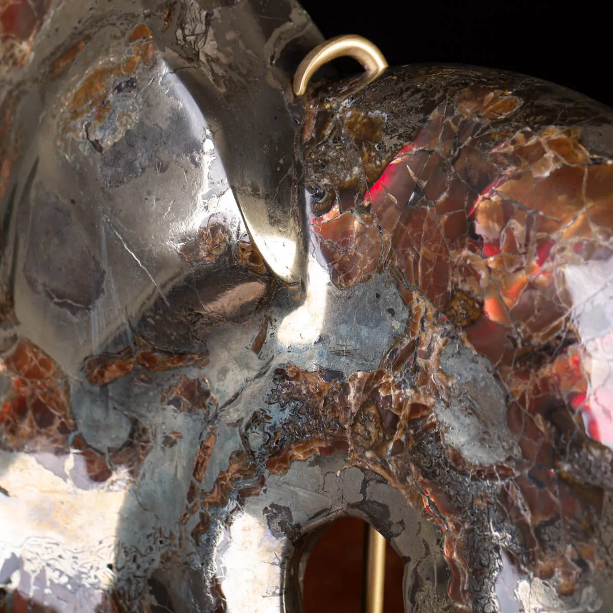 Ammonite Opalizzata con Pirite – Un Fossile di Squisita Bellezza.