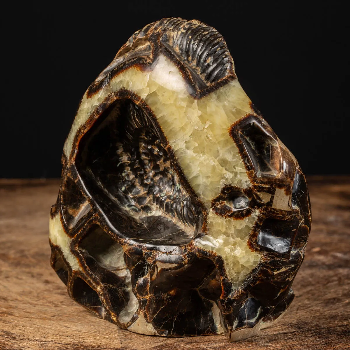 Ammonite in nodulo di Septaria