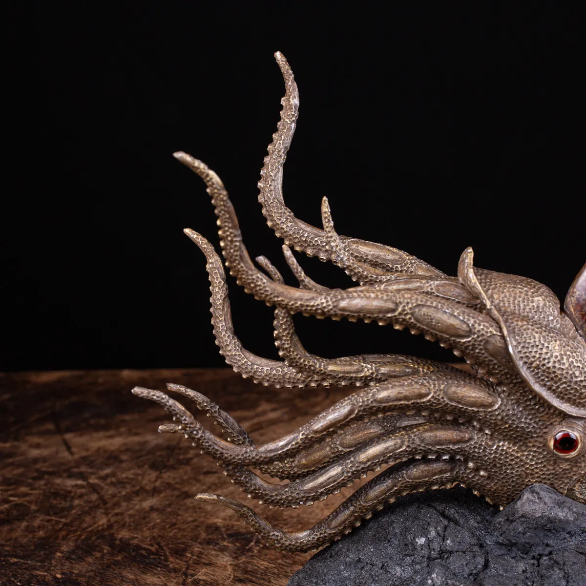 Scultura Ammonite