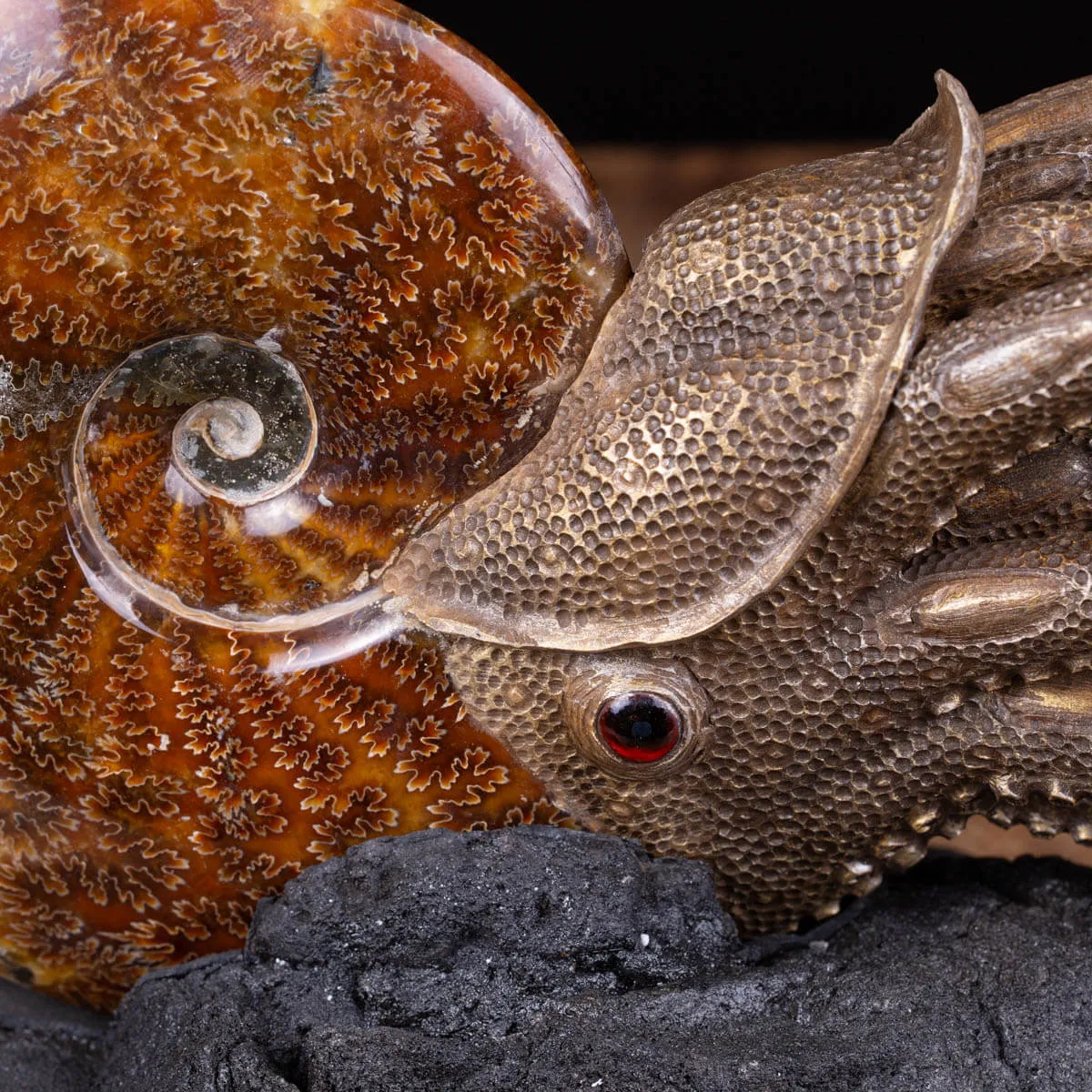 Scultura Ammonite