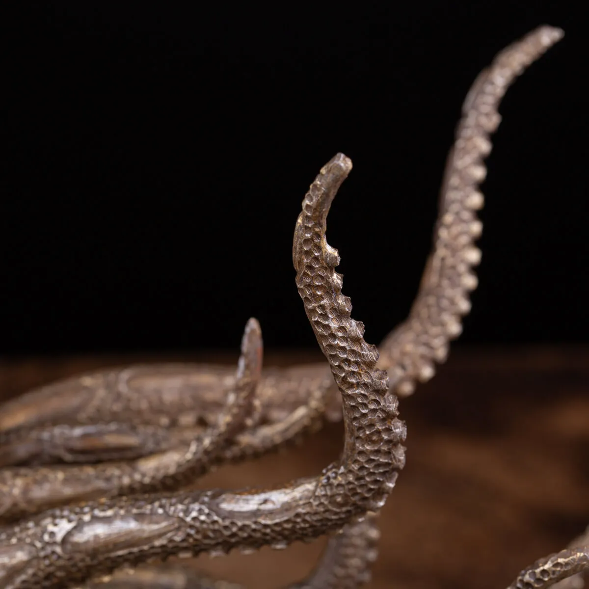 Scultura Ammonite
