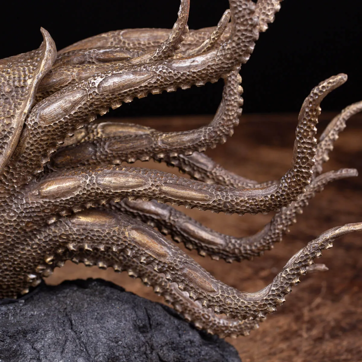 Scultura Ammonite
