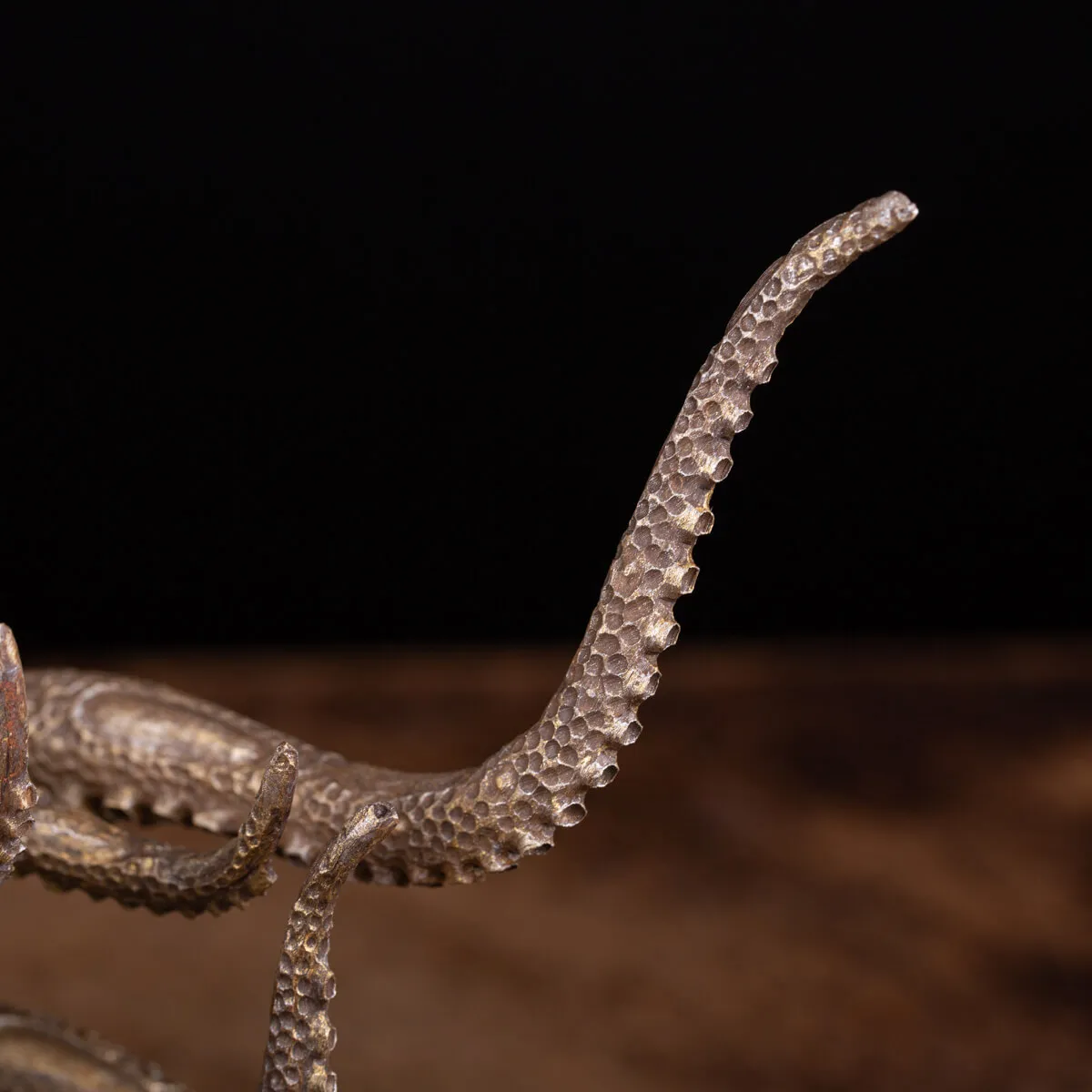 Scultura Ammonite