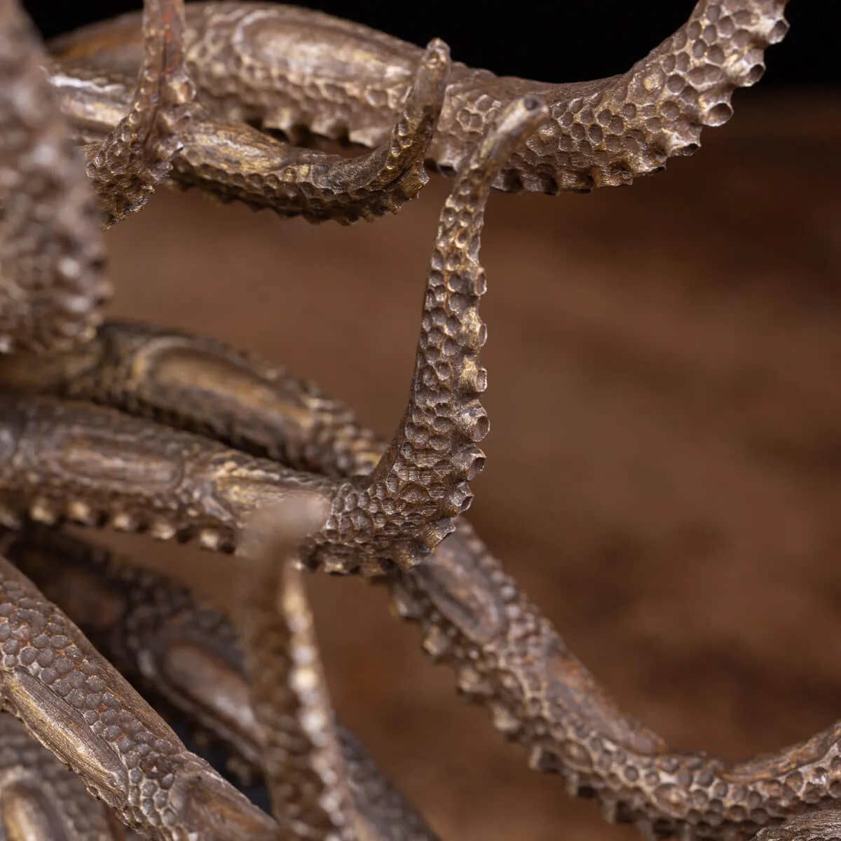 Scultura Ammonite