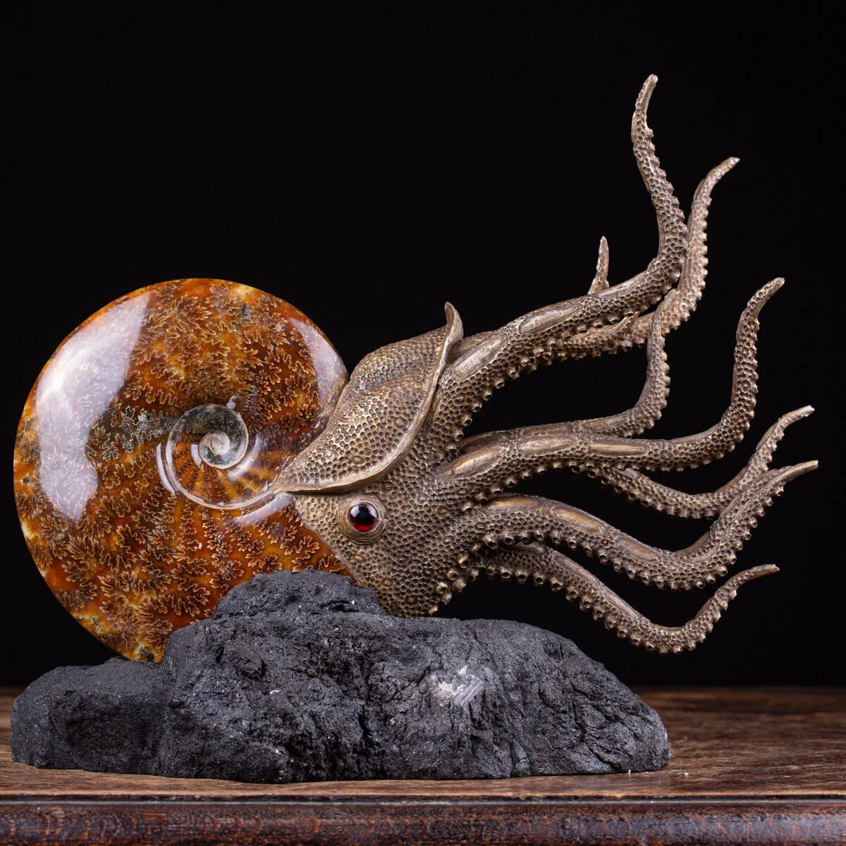Scultura Ammonite