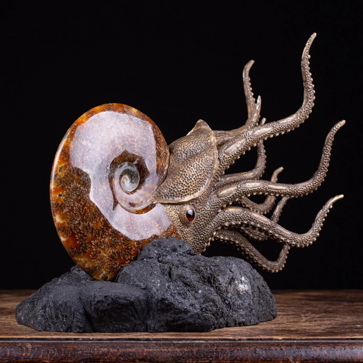 Scultura Ammonite