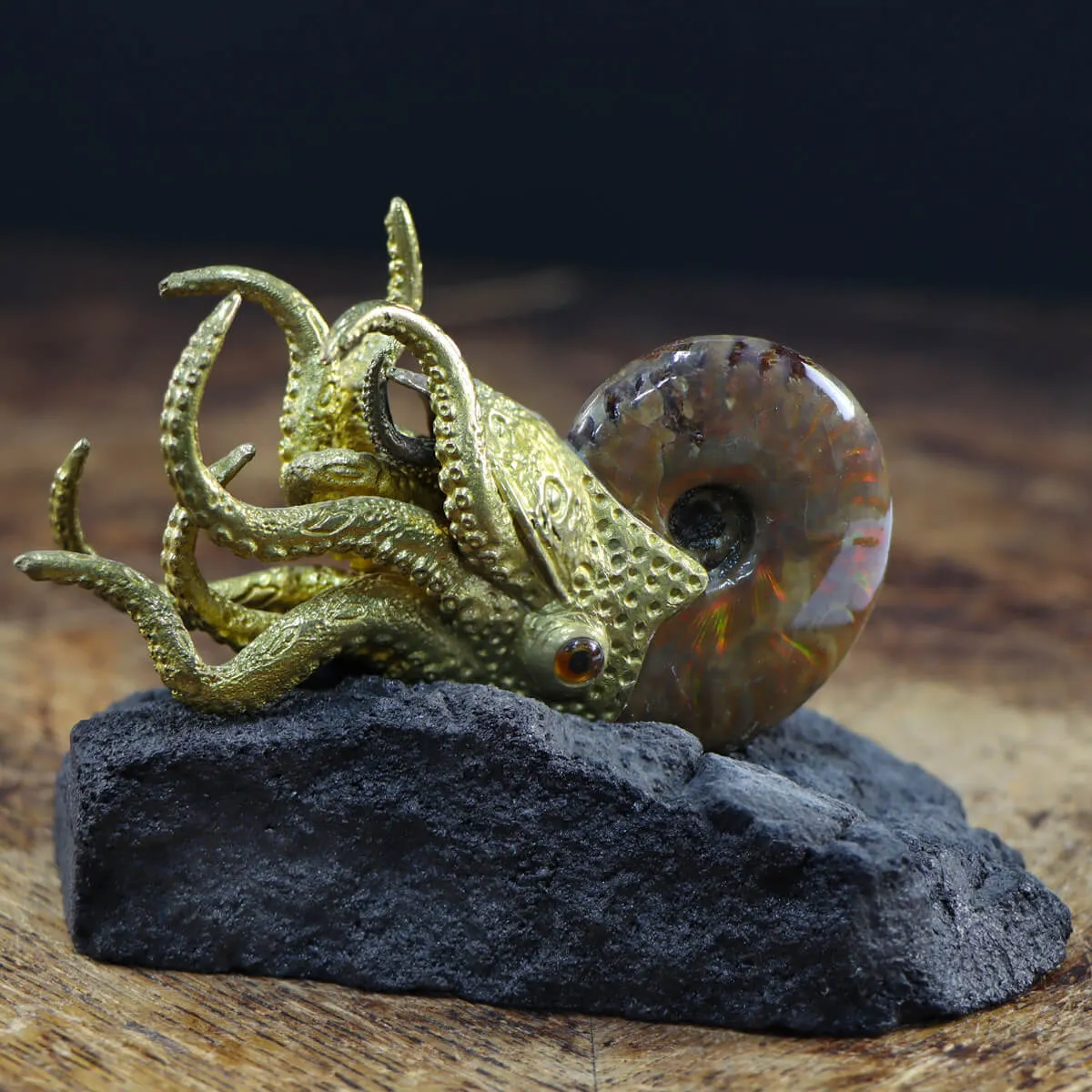 Scultura Ammonite