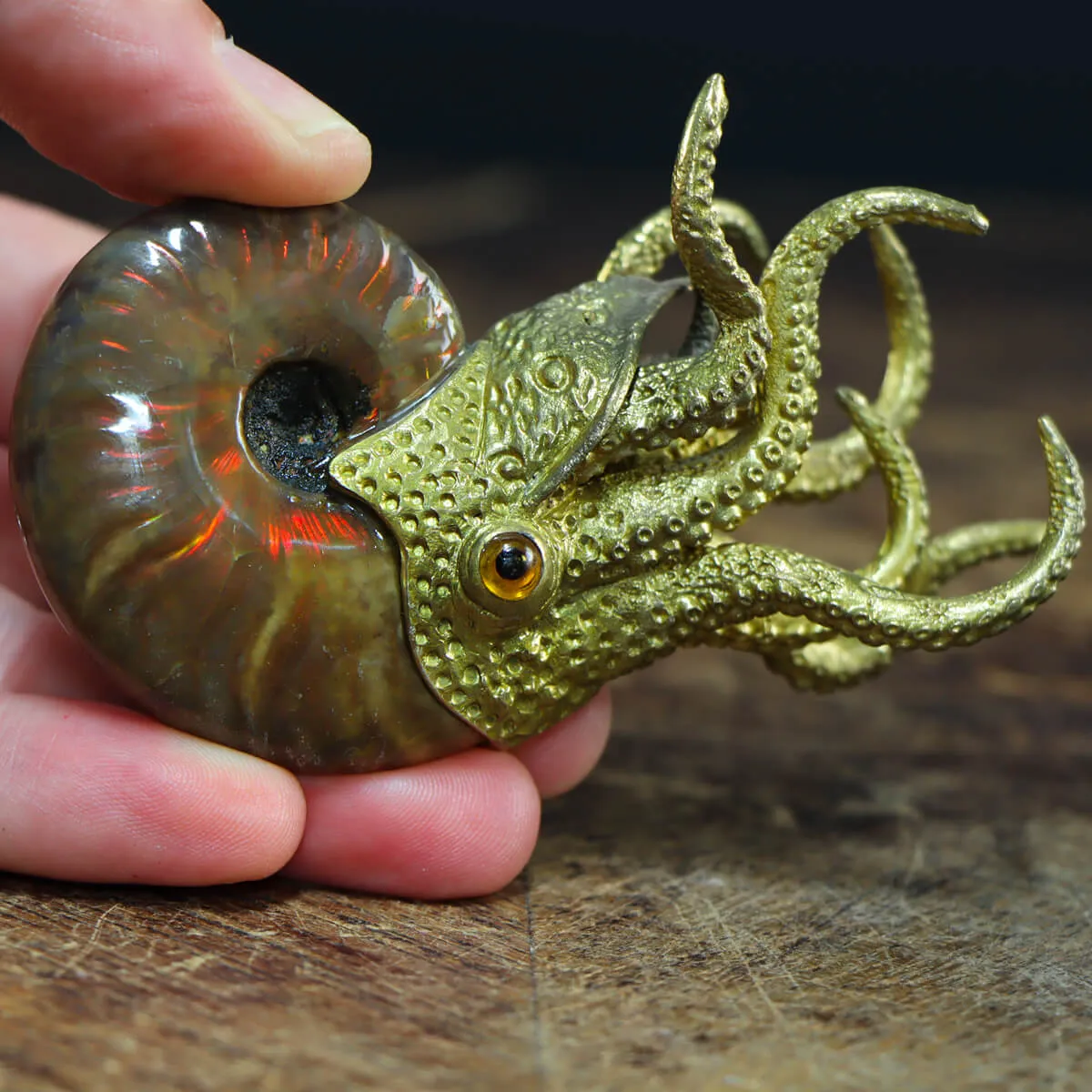Scultura Ammonite