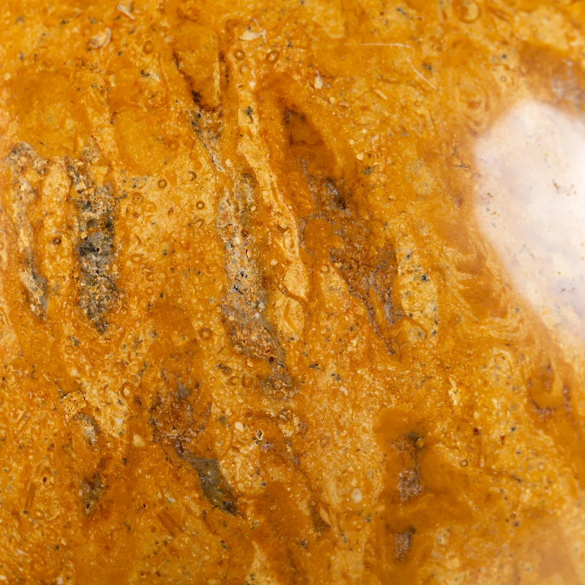 Sfera in Corallo Fossile